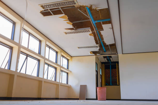 Best Flood damage cleanup  in Belhaven, NC