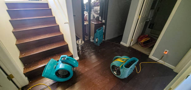 Best Water damage contractors near me  in Belhaven, NC