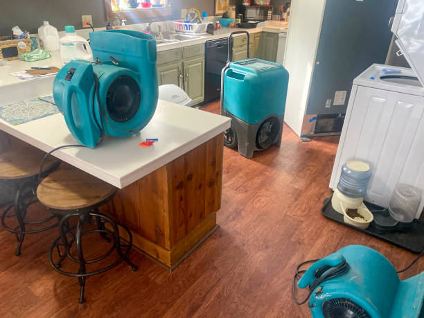 Best Emergency water damage restoration  in Belhaven, NC