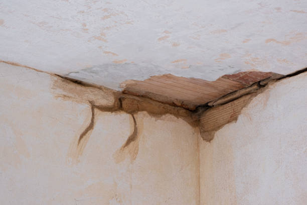 Best Commercial water damage restoration  in Belhaven, NC