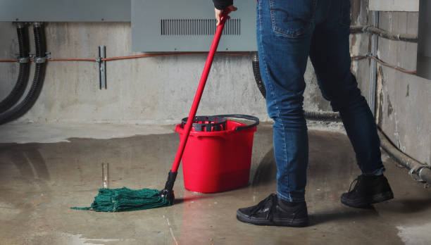 Best 24/7 water damage repair  in Belhaven, NC