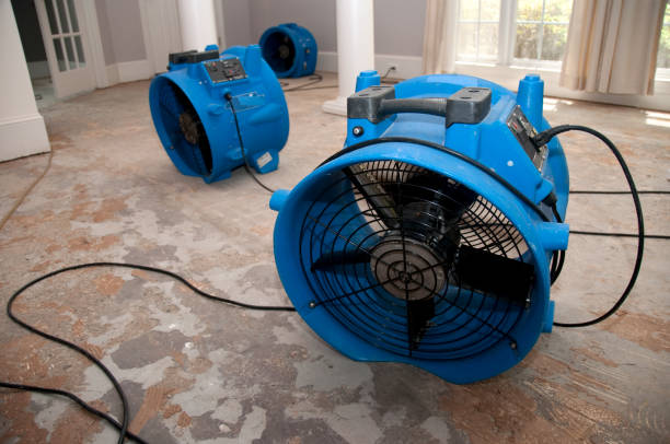 Best Commercial water damage restoration  in Belhaven, NC