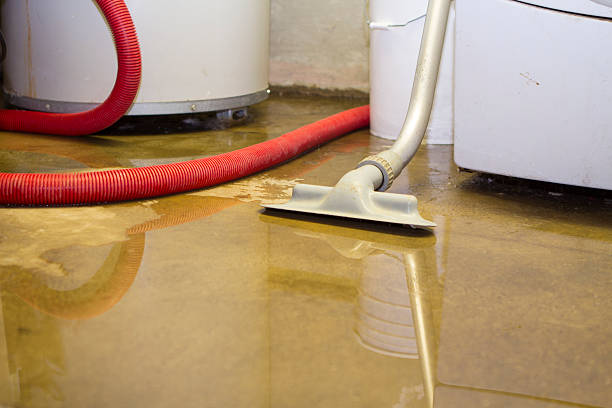 Best Local water damage restoration  in Belhaven, NC