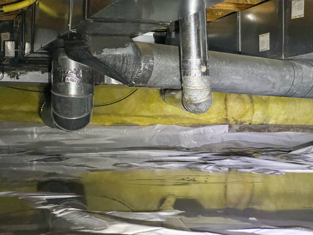 Best Water damage restoration services  in Belhaven, NC