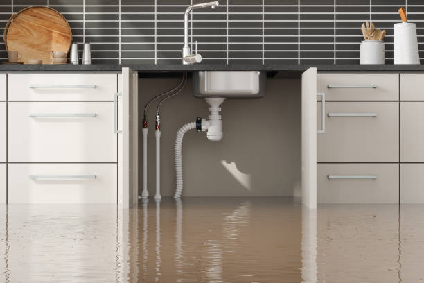 Best Flood restoration services  in Belhaven, NC
