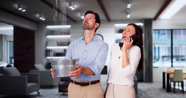  Belhaven, NC Water damage restoration Pros