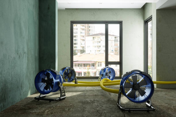 Best Ceiling water damage repair  in Belhaven, NC